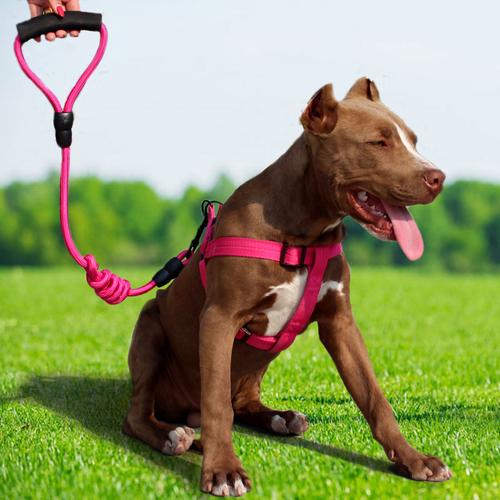 Adjustable Lead Rope
