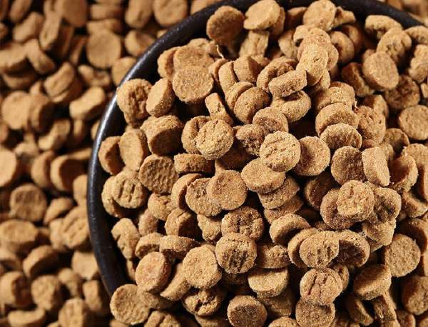 Baked Cat Food