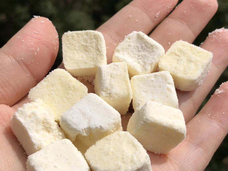 High Protein Freeze-drying