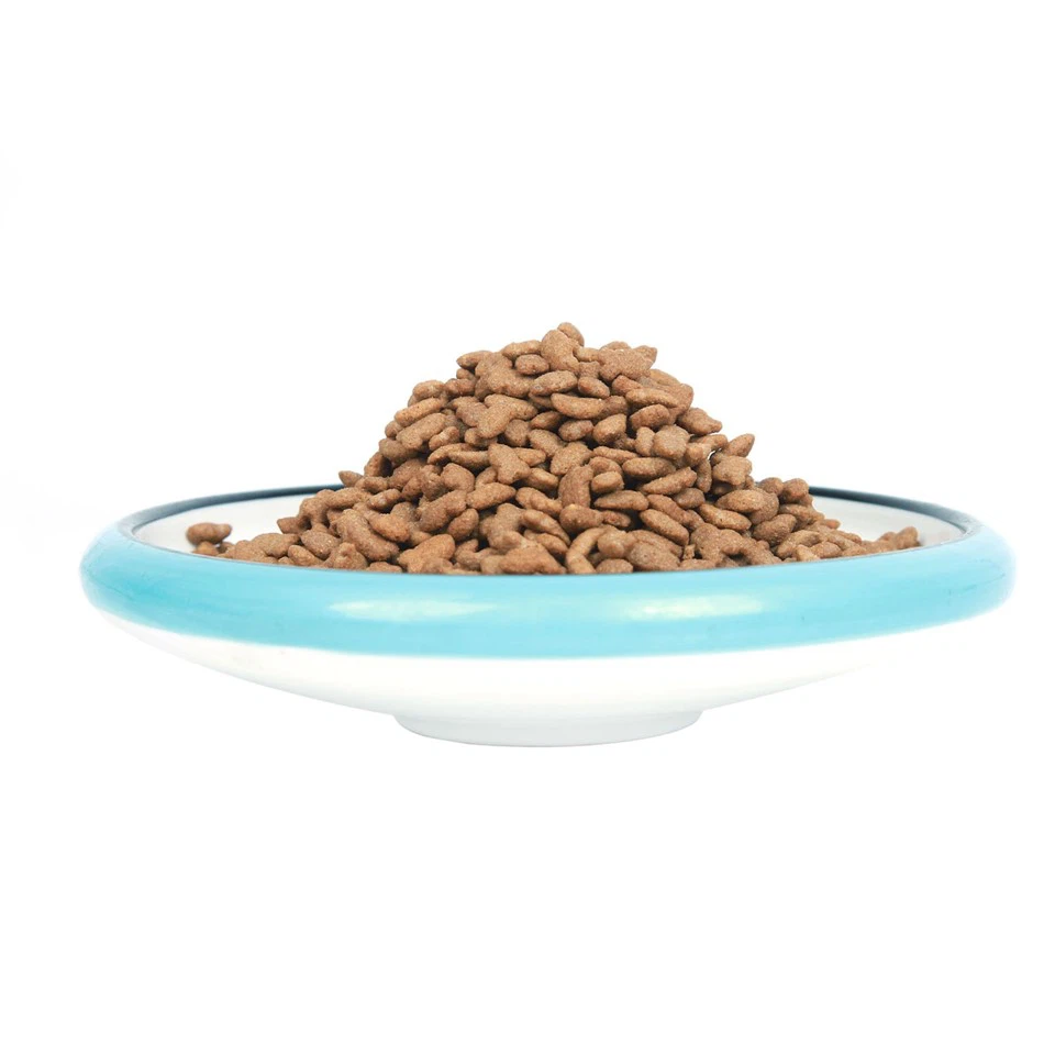 Manufacturer Of High Grade Cat Food With Protein