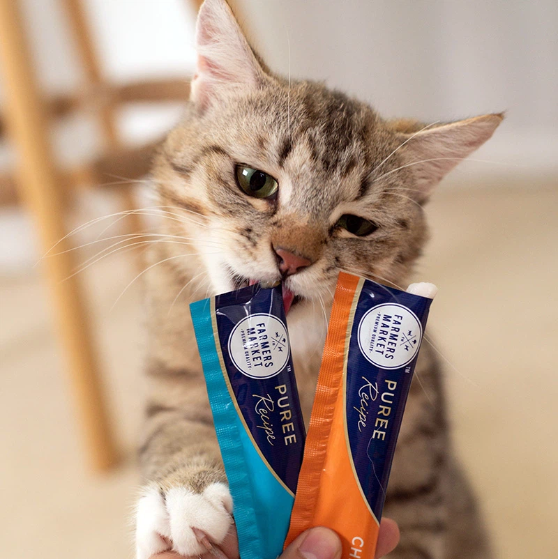 Premium Health And Nutrition Cat Strap's Factory