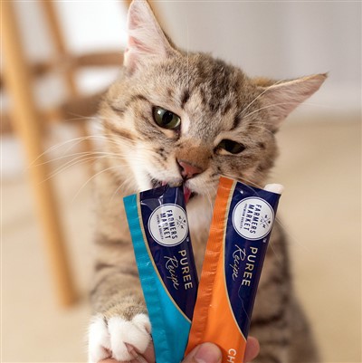 Cat strips
