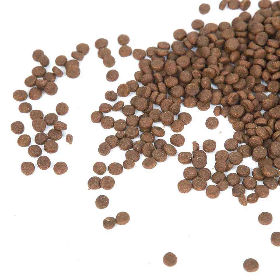 Supplier Of High Quality Healthy Dog Food